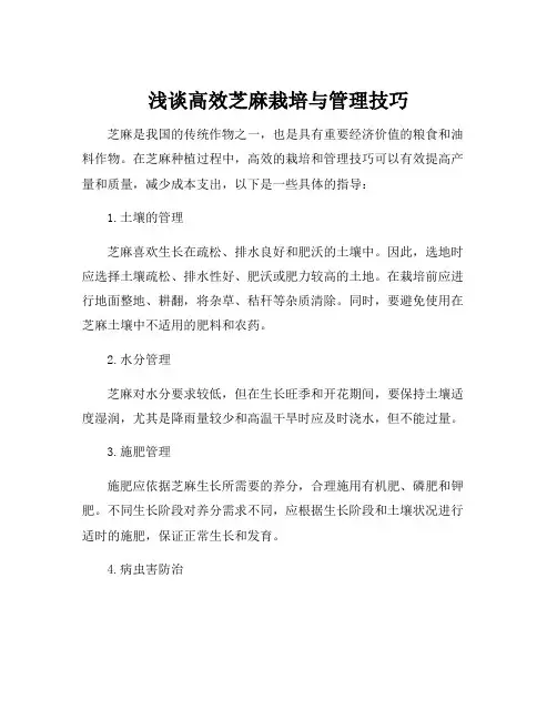 芝麻栽培与管理技术