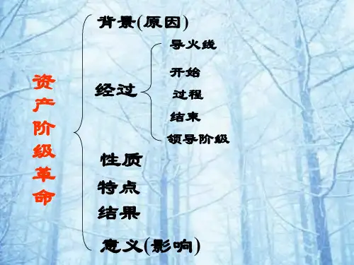 人教版九年级历史中考【英法美资产阶级革命复习课件19张】 (共19张PPT)