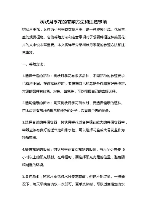 树状月季花的养殖方法和注意事项