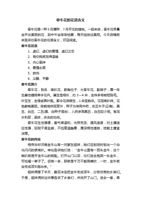 牵牛花的花语含义