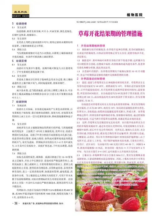 草莓开花结果期的管理措施