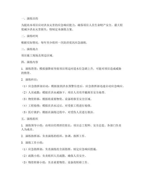 项目防洪度汛应急演练方案