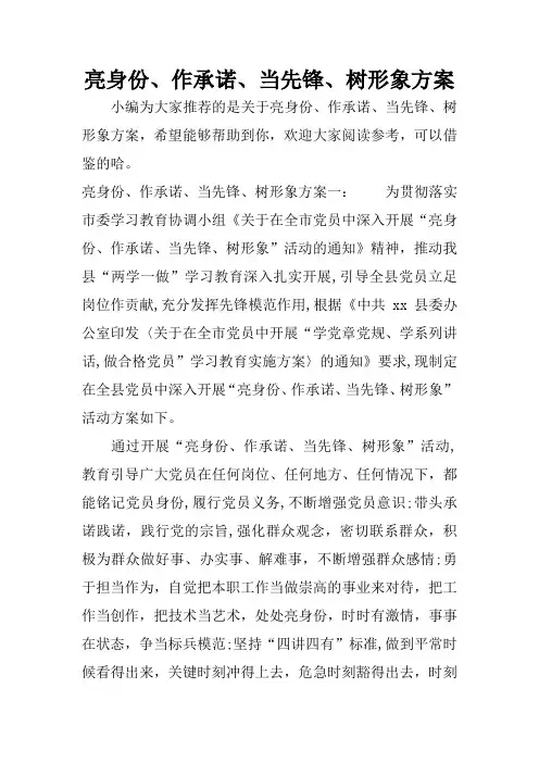 亮身份、作承诺、当先锋、树形象方案