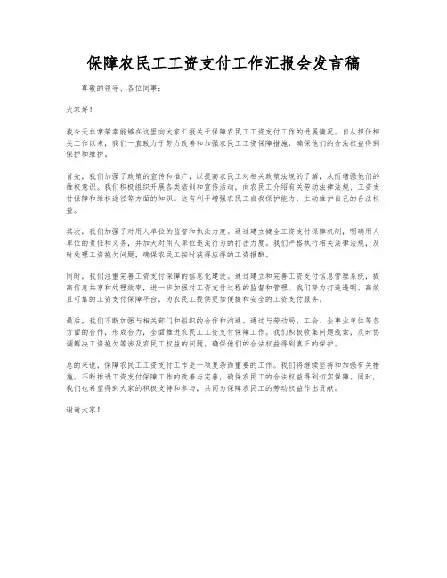 保障农民工工资支付工作汇报会发言稿