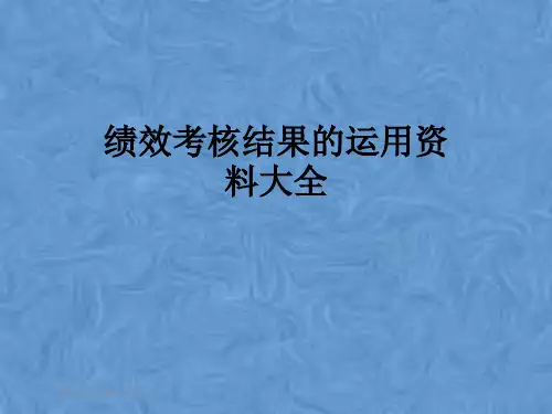 绩效考核结果的运用资料大全