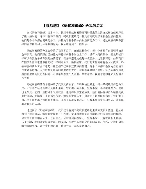 【读后感】《蚂蚁和蜜蜂》给我的启示