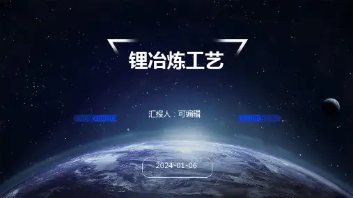 锂冶炼工艺