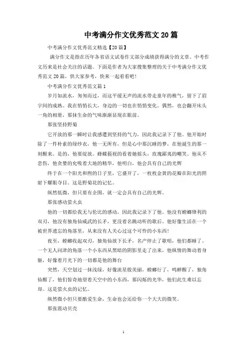 中考满分作文优秀范文20篇