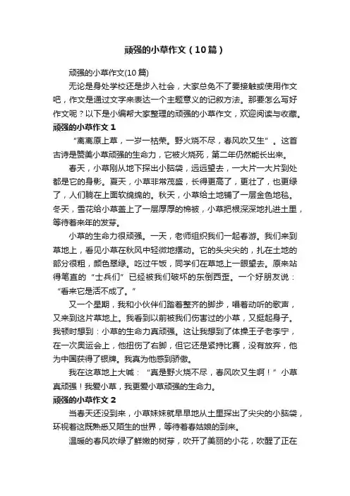 顽强的小草作文（10篇）