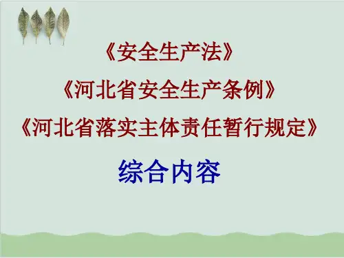 河北省安全生产条例PPT课件(60页)