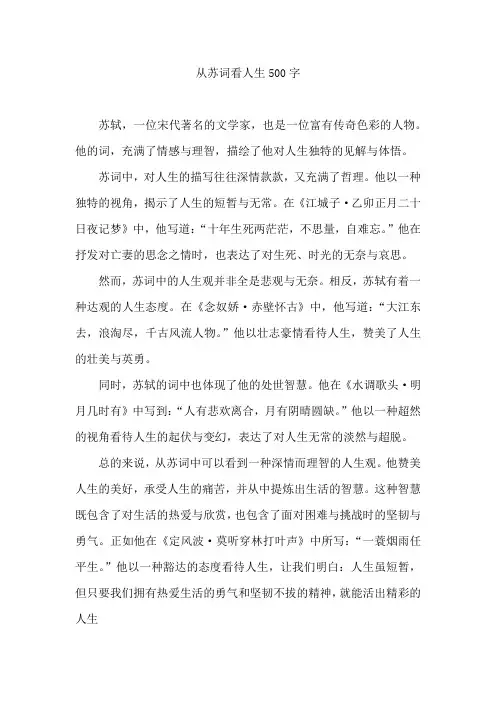 从苏词看人生500字