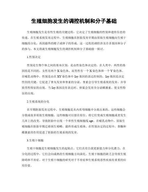 生殖细胞发生的调控机制和分子基础