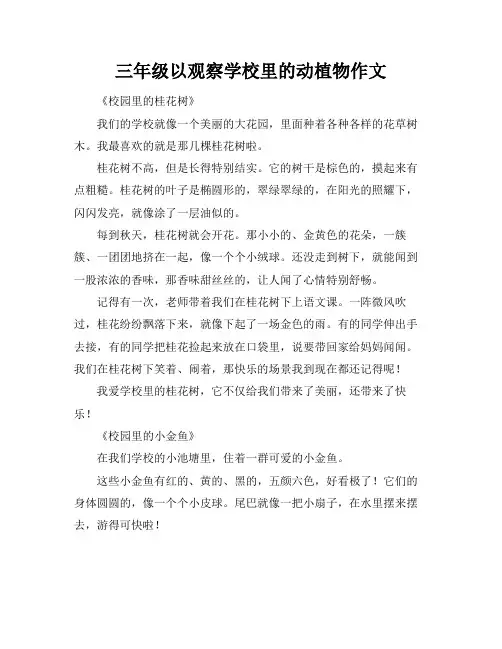 三年级以观察学校里的动植物作文