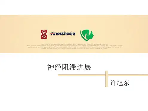 神经阻滞进展.ppt