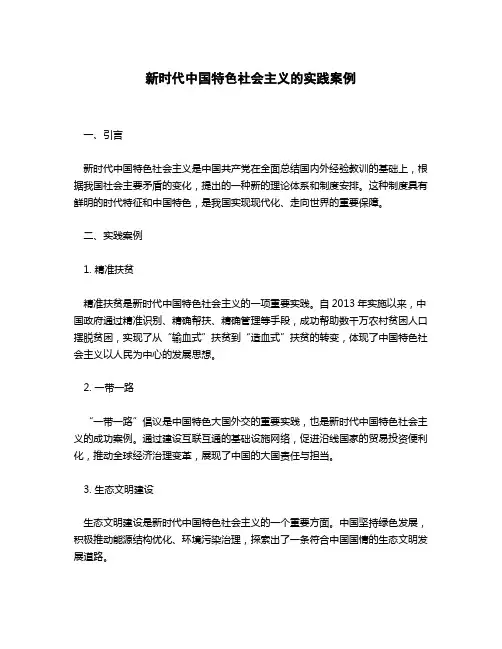 新时代中国特色社会主义的实践案例