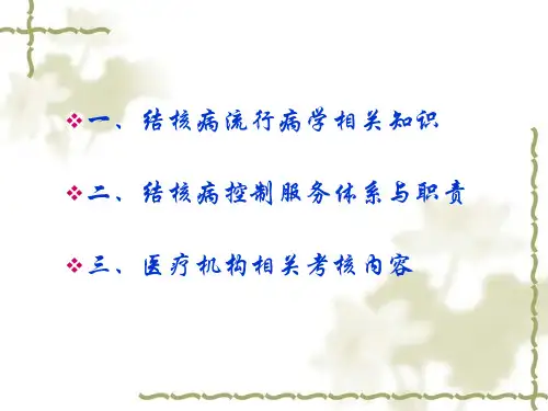 二级以下医疗机构结核病控制工作
