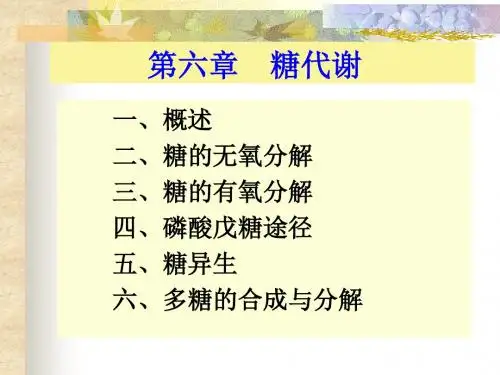 糖的无氧分解