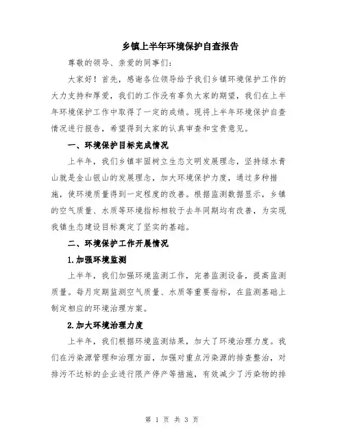 乡镇上半年环境保护自查报告