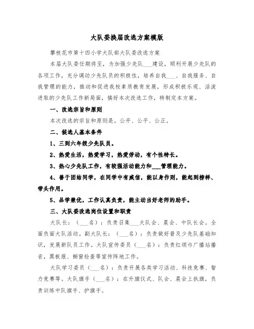大队委换届改选方案模版(二篇)