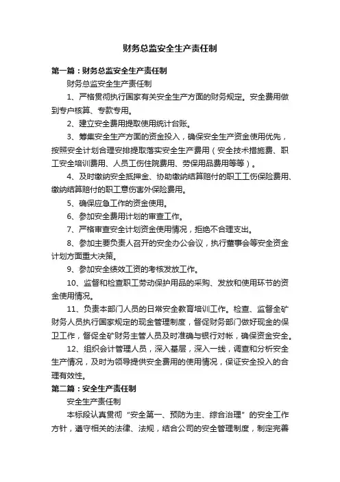 财务总监安全生产责任制