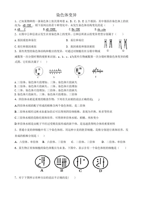 染色体变异习题精选