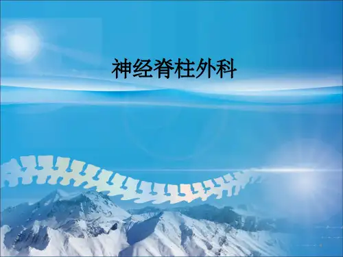 神经脊柱外科ppt课件