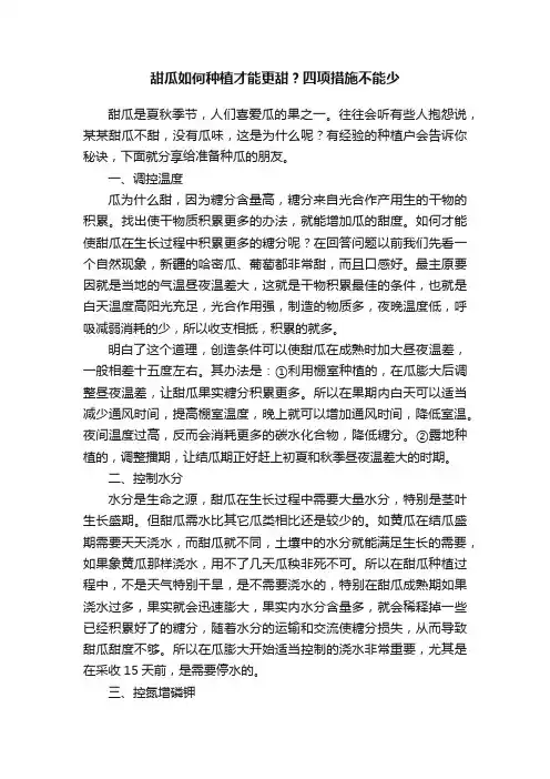甜瓜如何种植才能更甜？四项措施不能少