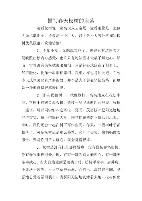 描写春天松树的段落