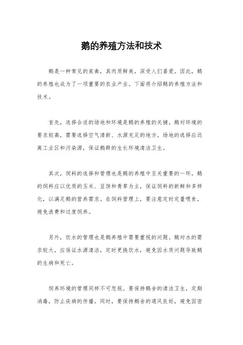鹅的养殖方法和技术