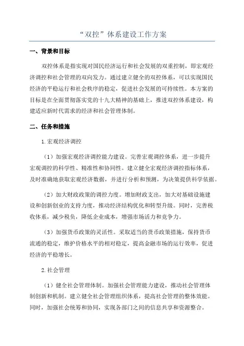 “双控”体系建设工作方案