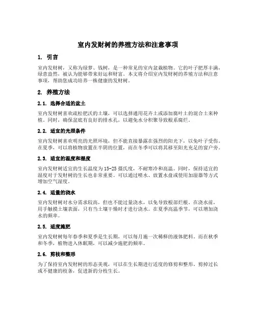室内发财树的养殖方法和注意事项