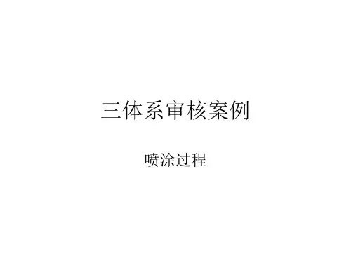 三体系审核过程确认案例