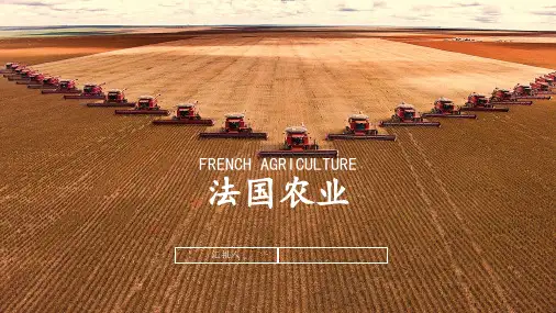 法国农业(汇报)