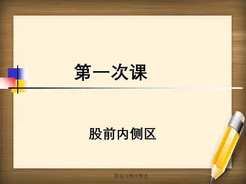 股前内侧区概述