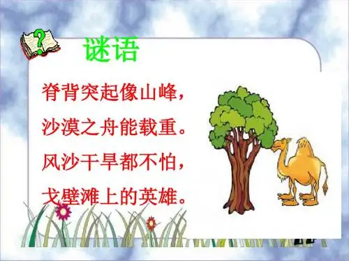 《找骆驼》PPT