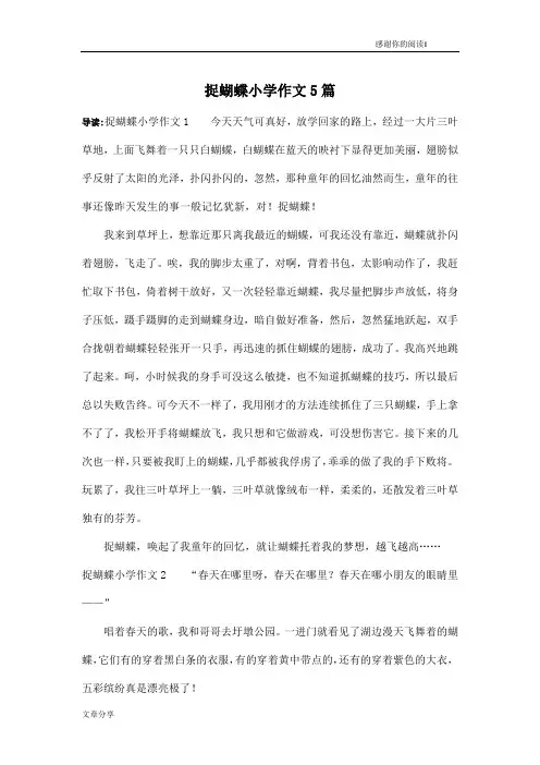 捉蝴蝶小学作文5篇
