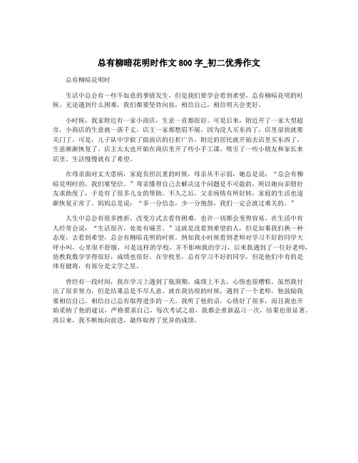 总有柳暗花明时作文800字_初二优秀作文