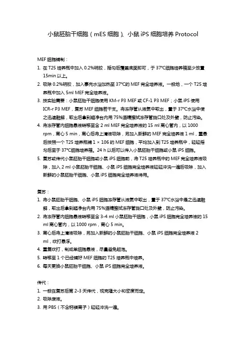小鼠胚胎干细胞(mES)、小鼠iPS细胞培养Protocol