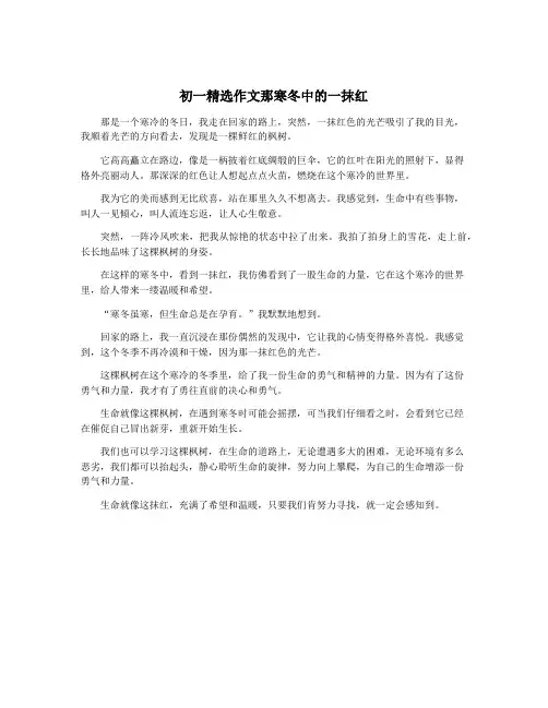 初一精选作文那寒冬中的一抹红