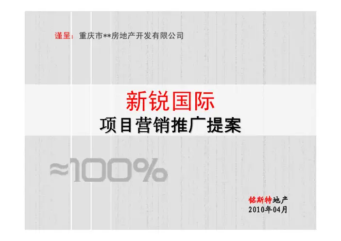 项目营销推广提案