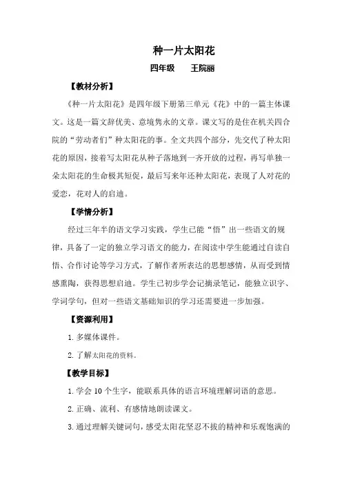 种一片太阳花