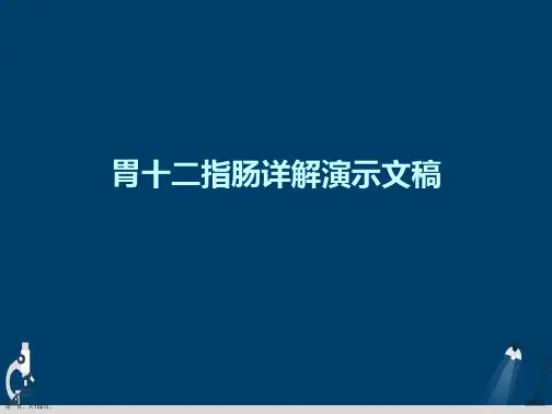 胃十二指肠详解演示文稿