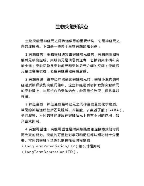 生物突触知识点