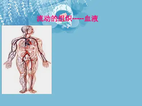 七年级下册生物课件 441流动的组织血液课件1人教版