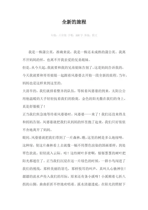 全新的旅程800字作文