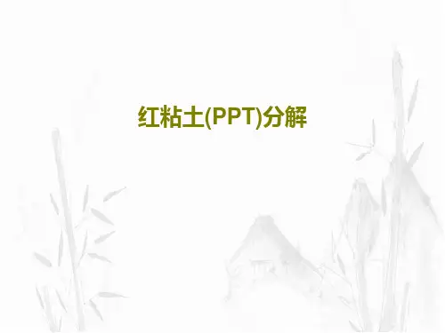 红粘土(PPT)分解57页PPT