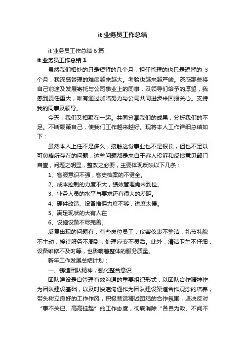 it业务员工作总结6篇