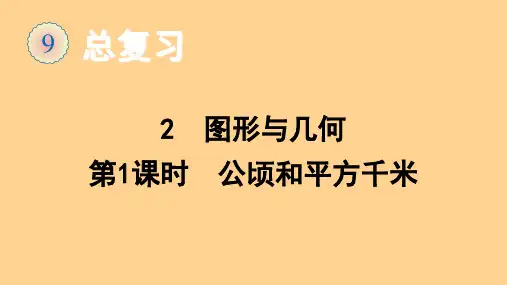 人教版数学四年级上册总复习 2 图形与几何(第1课时 公顷和平方千米)