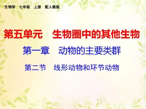 第一章 第二节 线形动物和环节动物