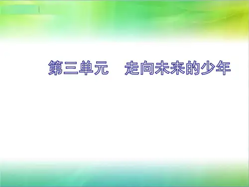 统编人教部编版九年级下册道德与法治第三单元复习课件